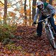Herbst - Riding 1