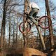 Whip