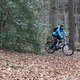 IMG 5247