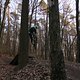 IMG 1976