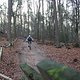 IMG 1205