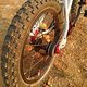 Umbau Early Rider Belter 16&quot;