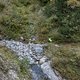 IMG 0597