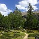 DSC05220-ck