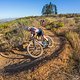 Amy Wakefield ahead of team nate Ariane Luthi and team of Pauline Ferrand Prevot and Robyn de Groot during stage 1 of the 2022 Absa Cape Epic Mountain Bike stage race from Lourensford Wine Estate to Lourensford Wine Estate, South Africa on the 21st M
