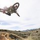 @yt industries Homegrown Dylan Stark Photo-4