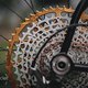 SingleBe - NoisyBee - Custom 29er