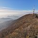 IMG 20241109 150447