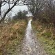 Spaziergang am Nachmittag