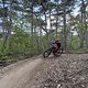 IMG 7917