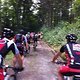IMG 1374