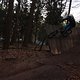 IMG 1293