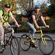 Critical Mass 1703 0408b