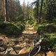 IMG 7536