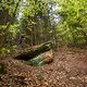 20250421-22 Schneebergrunde