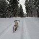 La Cruz deep snow ride #1