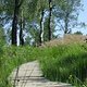 DSCF6434