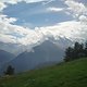 Ortler