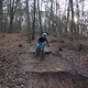 IMG 1527