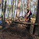 IMG 1699