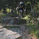 IMG 4274