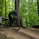 20160521-IMG 6336