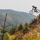Sam Gale rides the course at RedBull Hardline in Dinas Mawydd, Wales. // SI202107240171 // Usage for editorial use only //