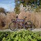 L1000023 (MTB-News)