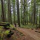 BC Squamish - 50 Schades of Green