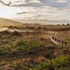 riders during Stage 4 of the 2025 Absa Cape Epic Mountain Bike stage race held at Fairview, Paarl, Cape Town, South Africa on the 20th March 2025. Photo by Sam Clark/Cape Epic
PLEASE ENSURE THE APPROPRIATE CREDIT IS GIVEN TO THE PHOTOGRAPHER AND ABSA