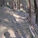 IMG 0991Large 1272301597
