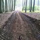DSC00240