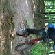 IMG 1482
