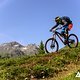 Panorama satt - über alpine Trails geht es von oben bis ganz nach unten ins Tal.