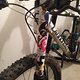 Cannondale Lefty bunt