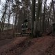 IMG 2082