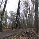 IMG 1465