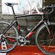 wilier decals