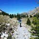 TransVerdon2016 (84)