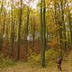 P1070814--