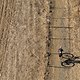 Andreas Diacon during the Prologue of the 2017 Absa Cape Epic Mountain Bike stage race held at Meerendal Wine Estate in Durbanville, South Africa on the 19th March 2017

Photo by Greg Beadle/Cape Epic/SPORTZPICS

PLEASE ENSURE THE APPROPRIATE CRE