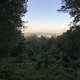 Auf dem Teufelsberg, Blick über den Grunewald