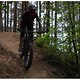 Fatbike cruising through the forest