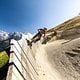 Leogang, Saalbach und Fieberbrunn haben sich zu einem großen Bike- und Trail-Park zusammengeschlossen