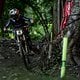 MTBNews