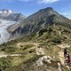 IMG 4686