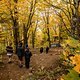 Nach dem recht flotten Start auf der Wiese geht&#039;s in den herbstlichen Wald.