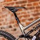 Scar Cycles-5