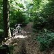 IMG 0114