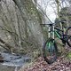 Canyon Torque DHX Whipzone